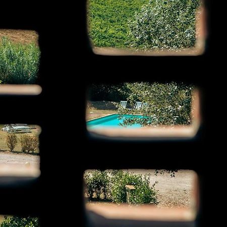 Willa Fienile Panoramico Nel Chianti Greve in Chianti Zewnętrze zdjęcie
